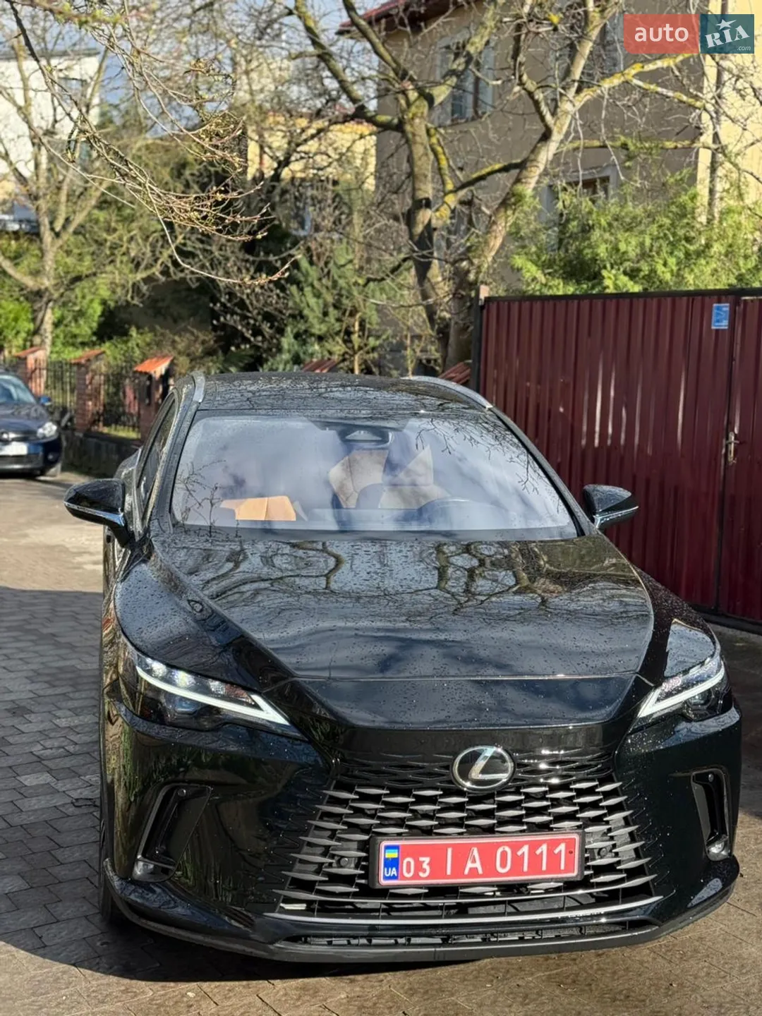 2024 Lexus RX - мініатюра 19