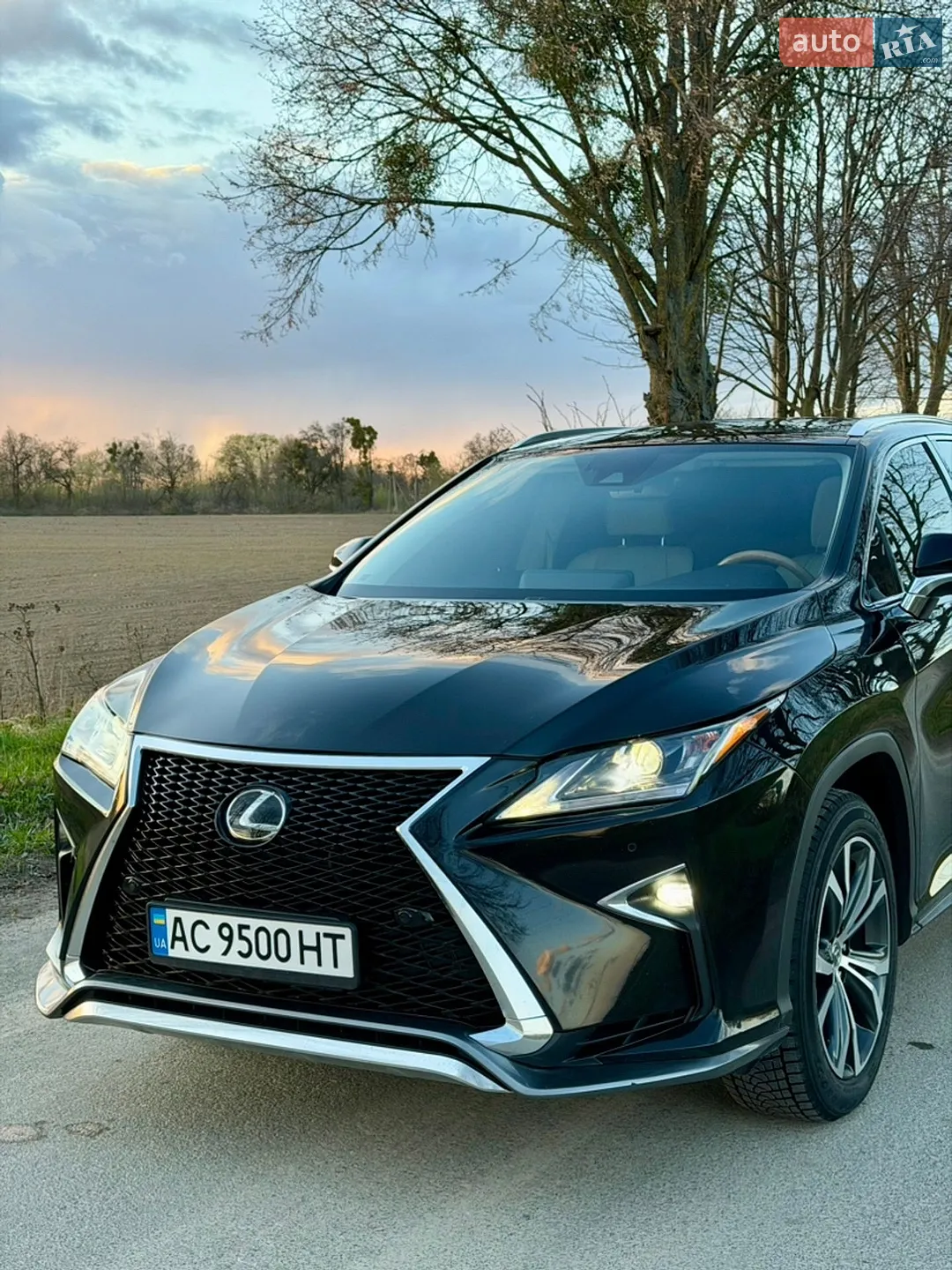 2015 Lexus RX - мініатюра 13