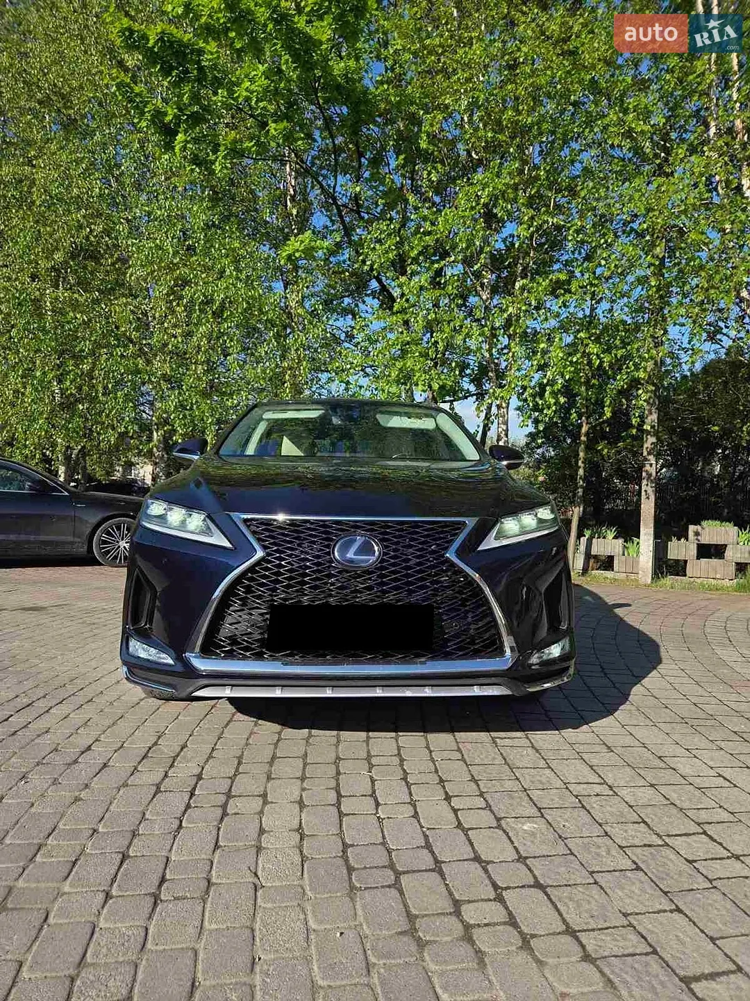 2019 Lexus RX - фото 1