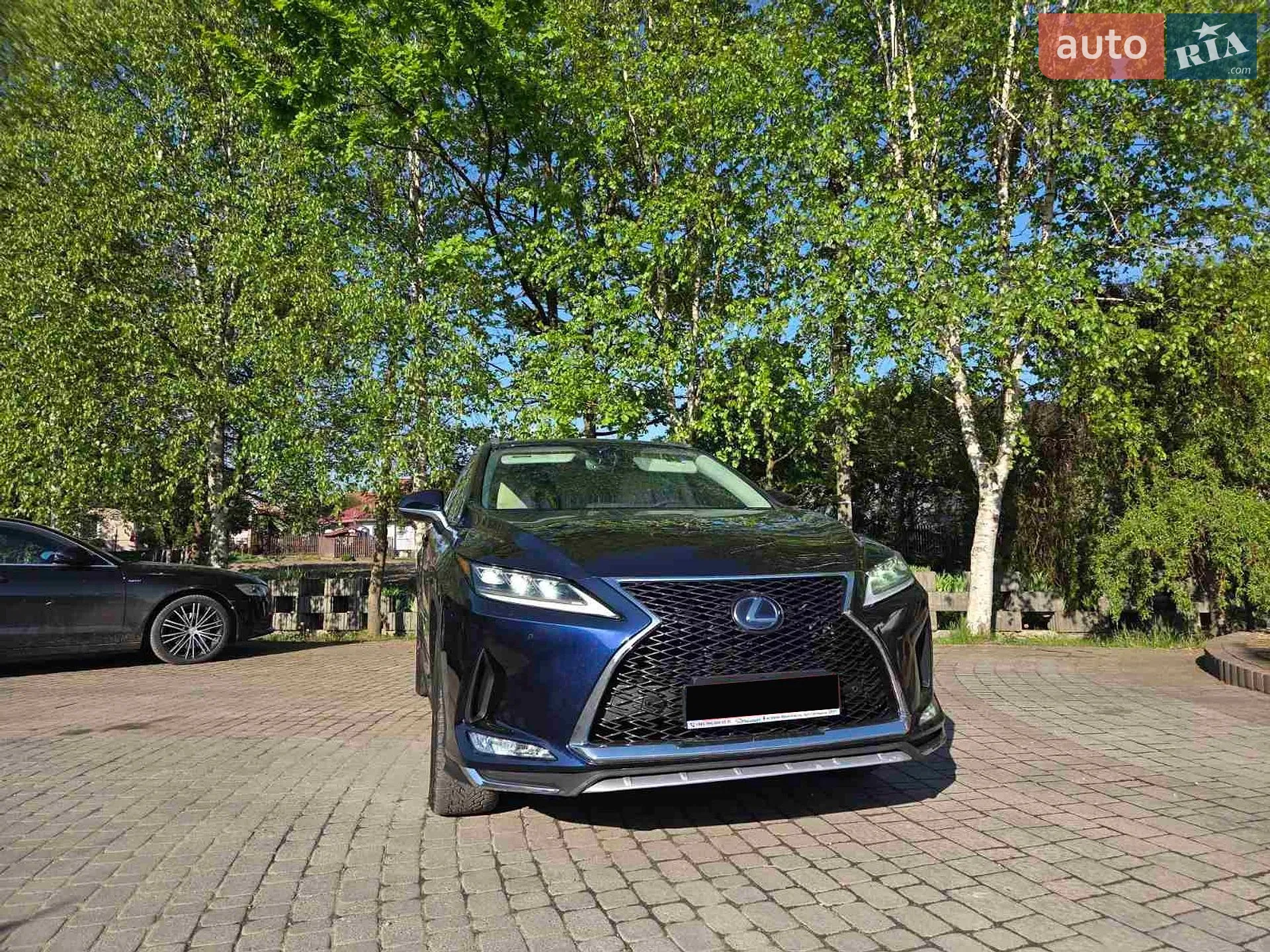 2019 Lexus RX - мініатюра 23