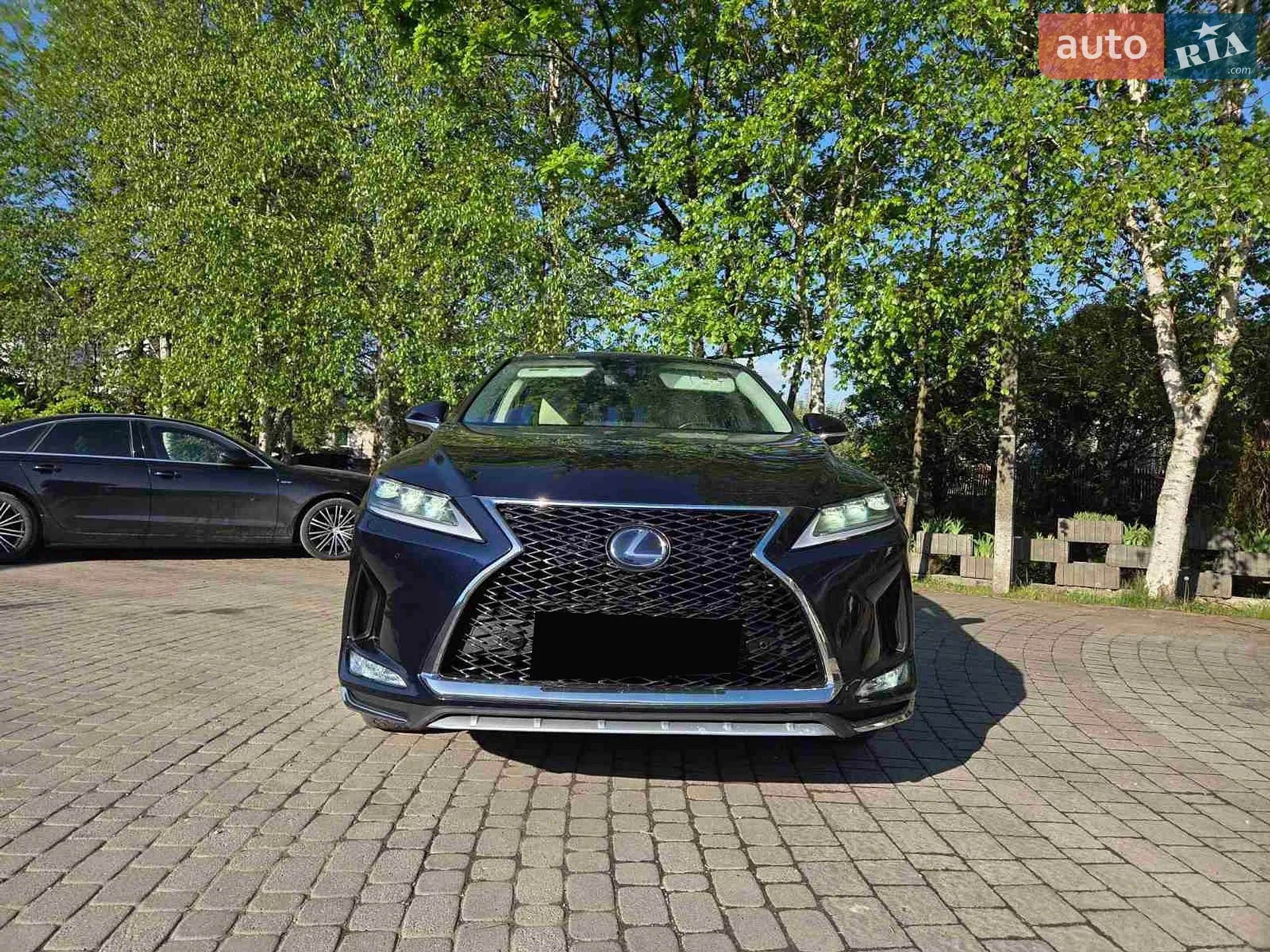 2019 Lexus RX - мініатюра 22