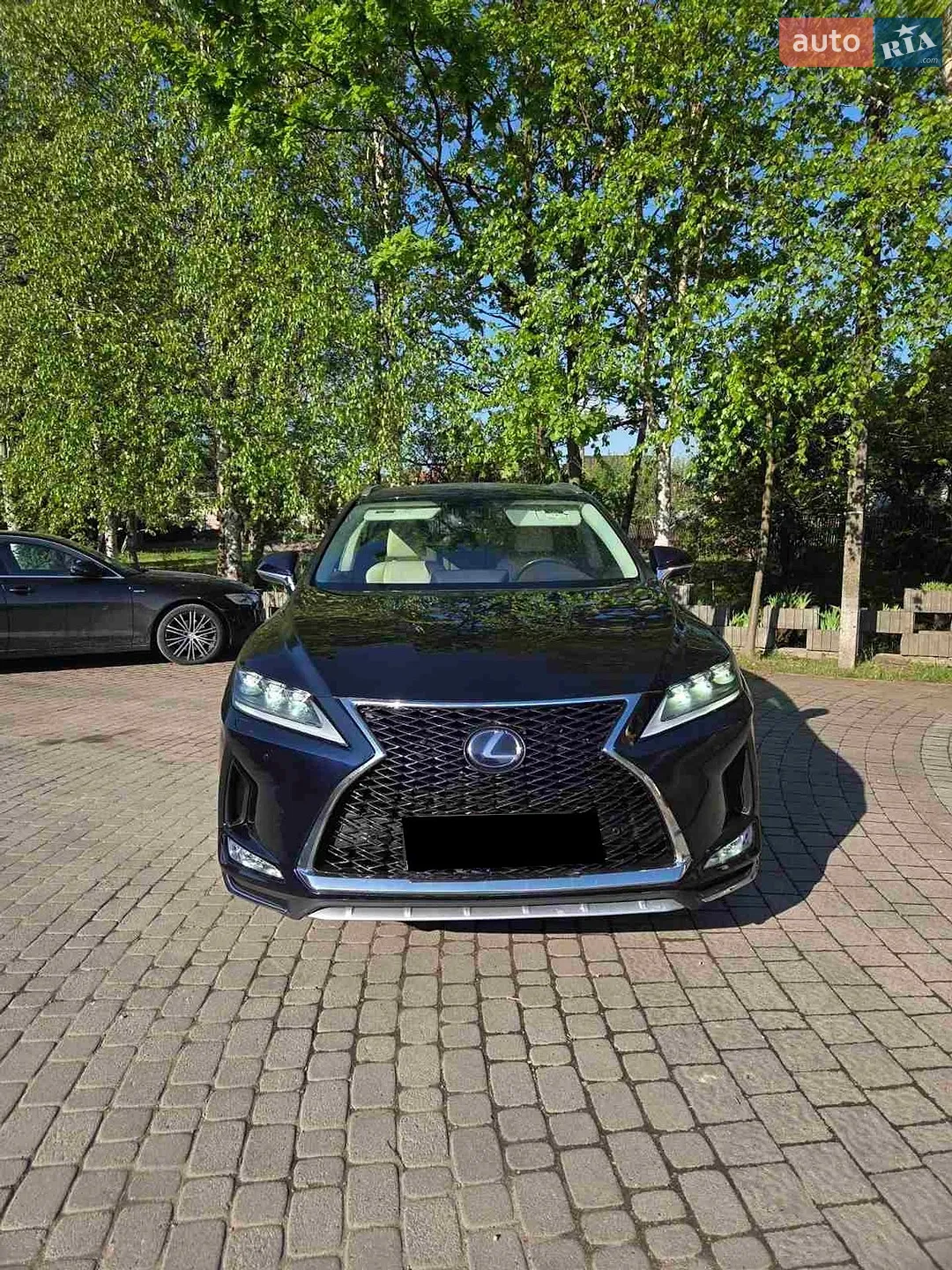 2019 Lexus RX - мініатюра 2