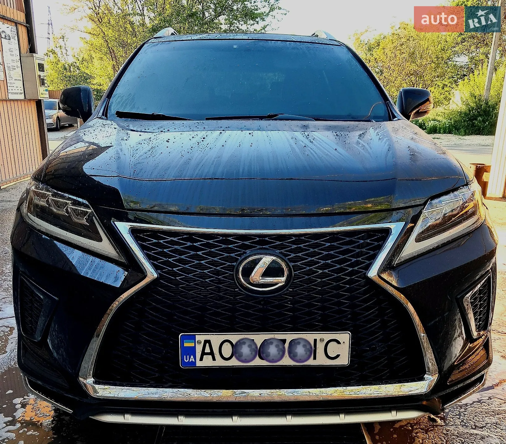 2010 Lexus RX - фото 1