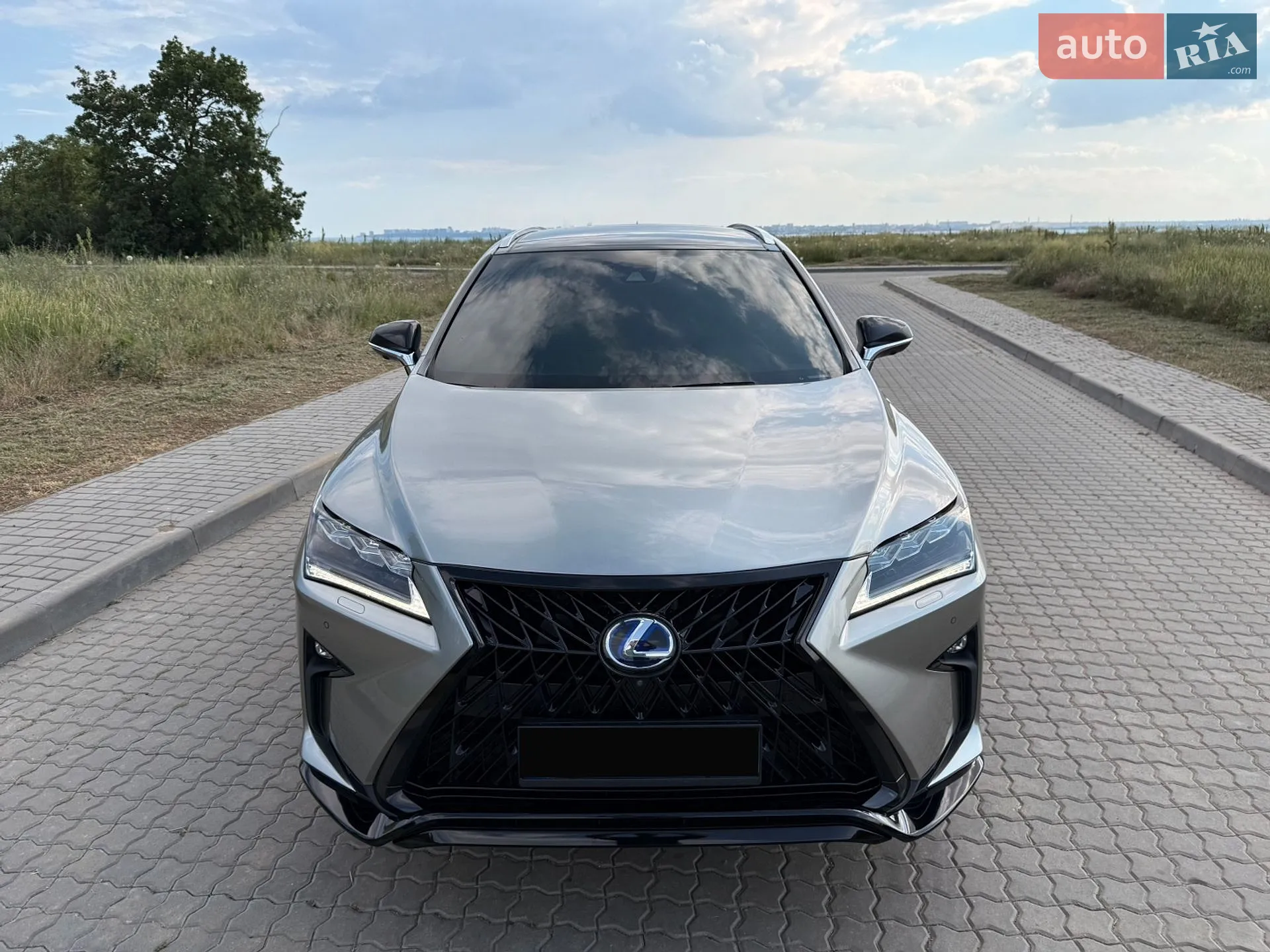 2019 Lexus RX - мініатюра 12