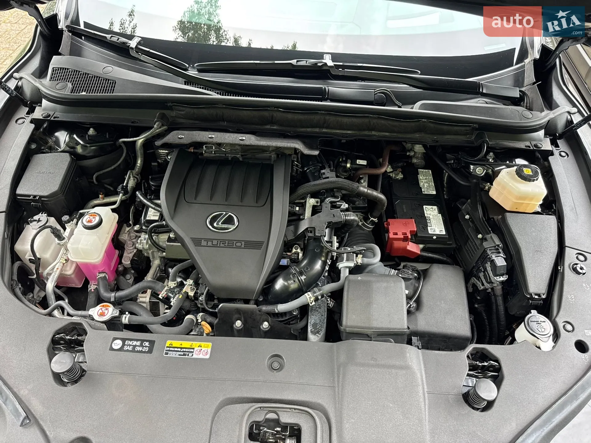 2024 Lexus RX - мініатюра 7