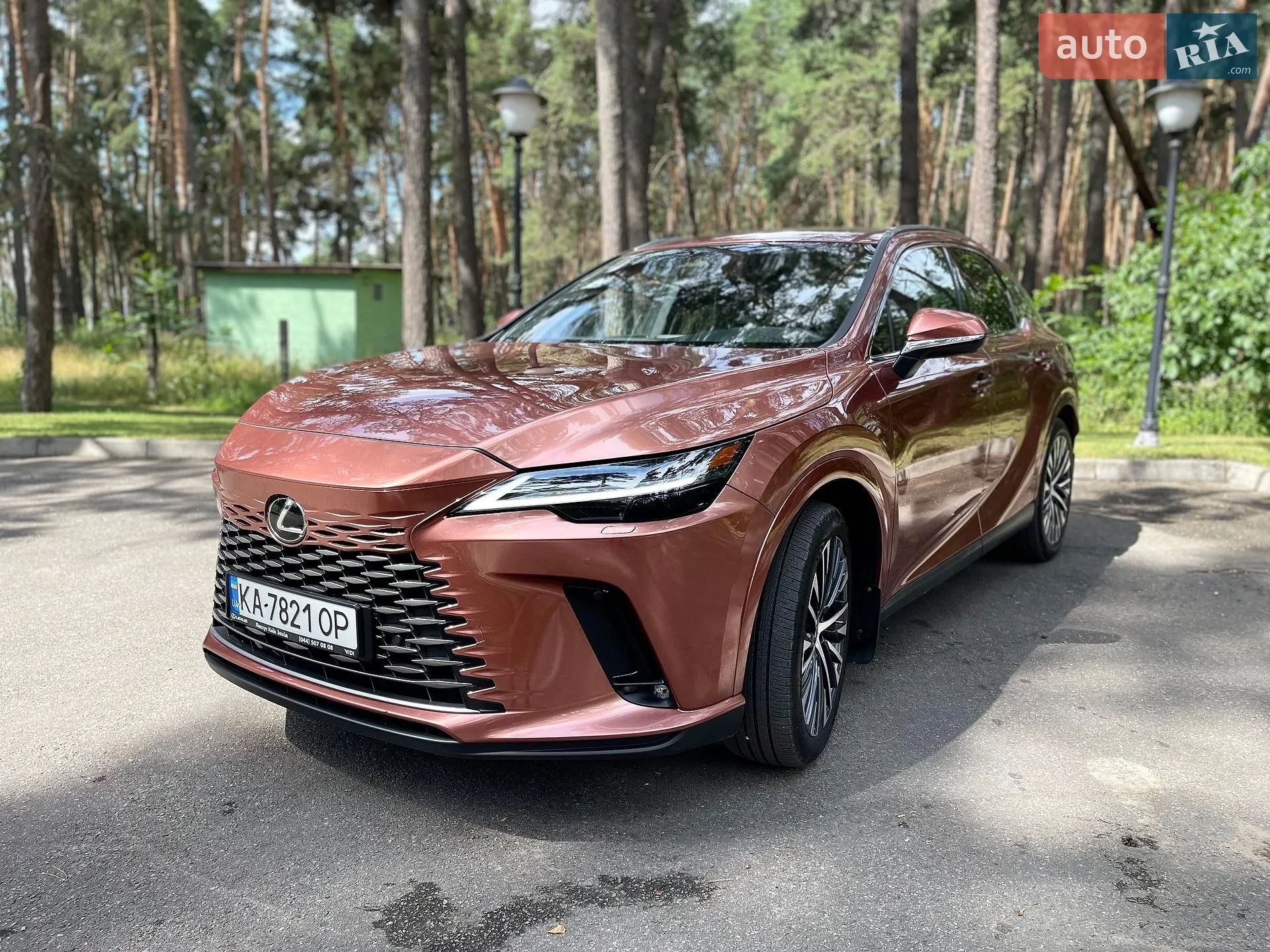 2024 Lexus RX - мініатюра 24