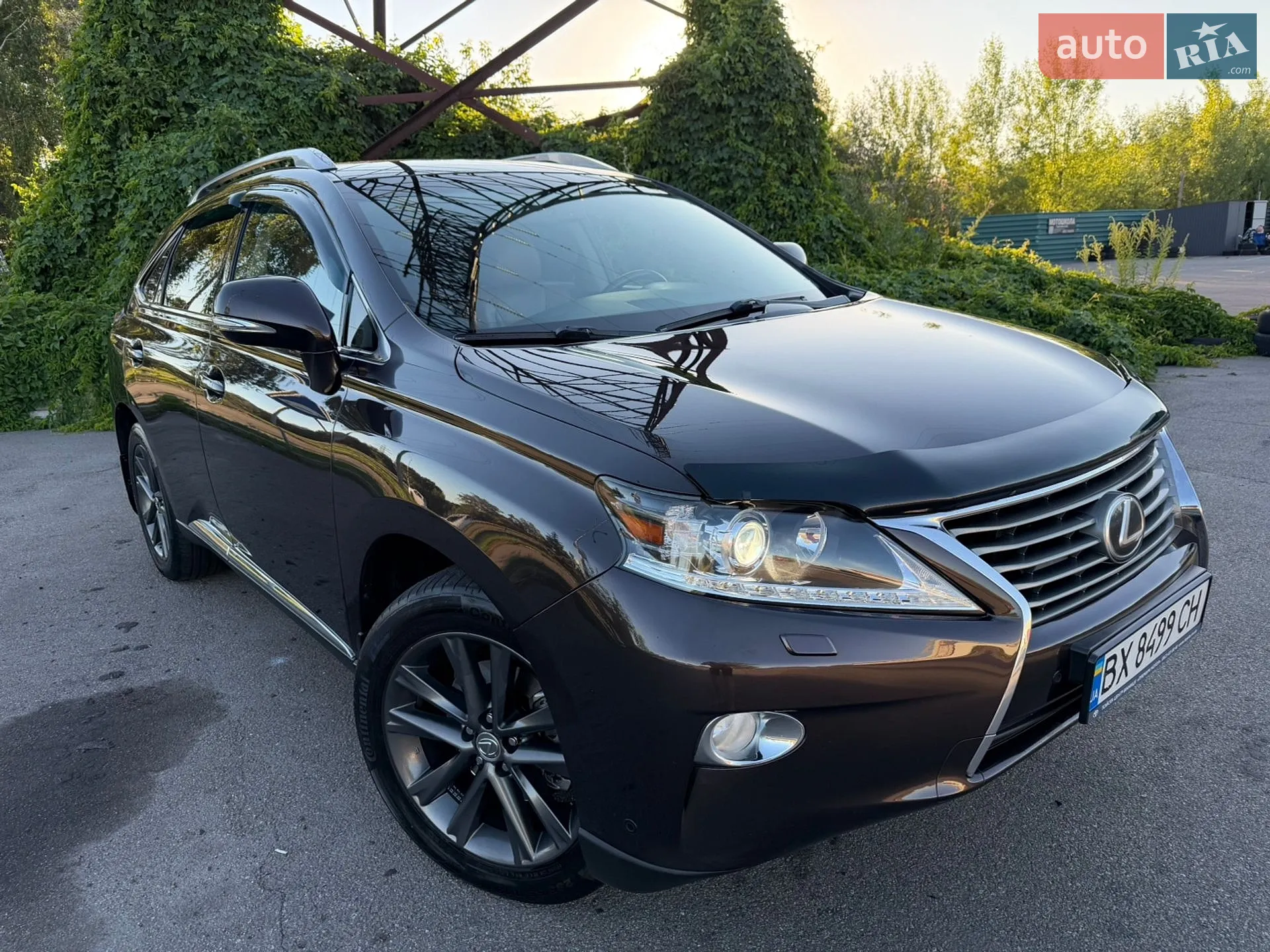 2015 Lexus RX - мініатюра 10