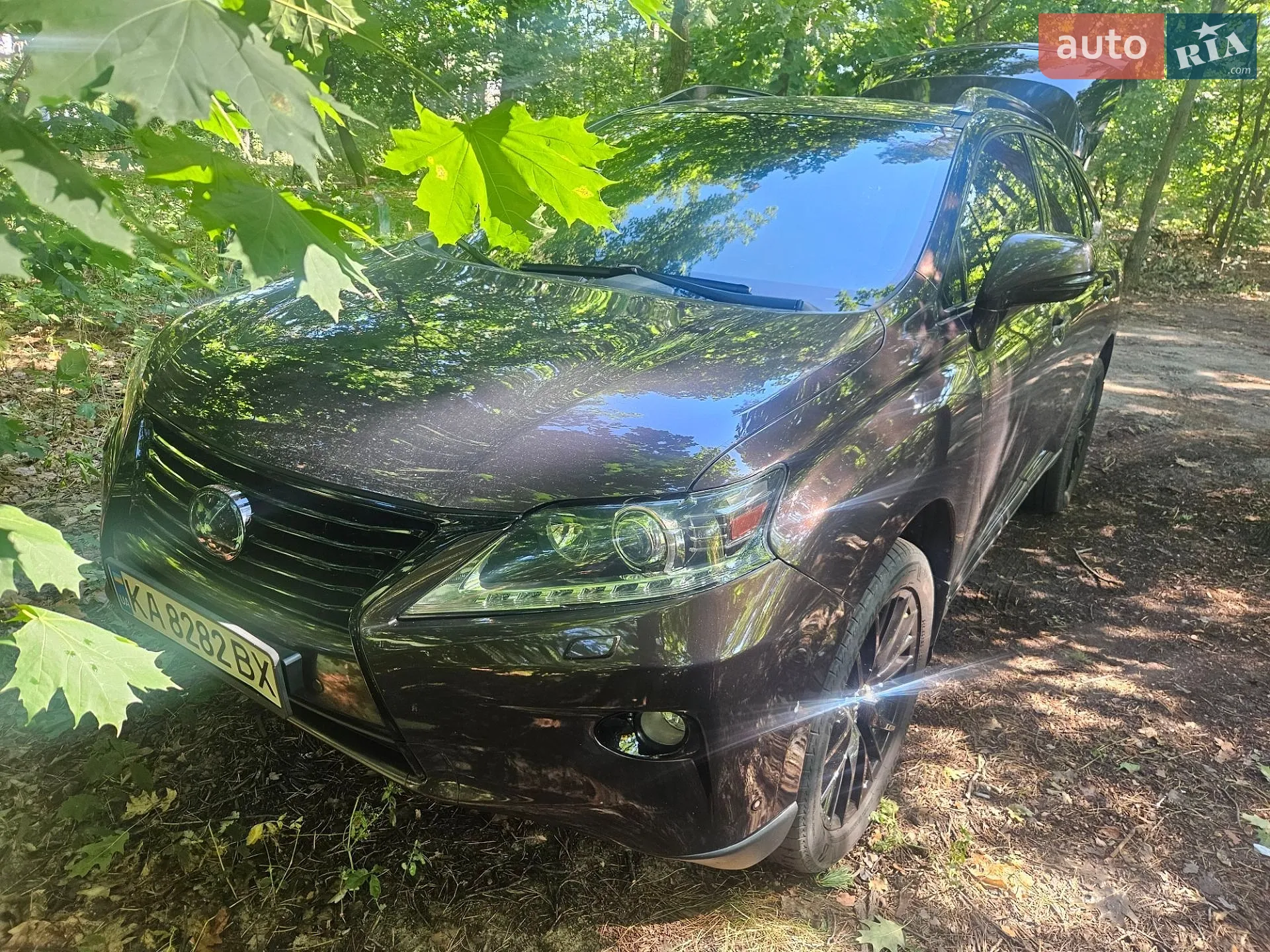 2012 Lexus RX - мініатюра 2