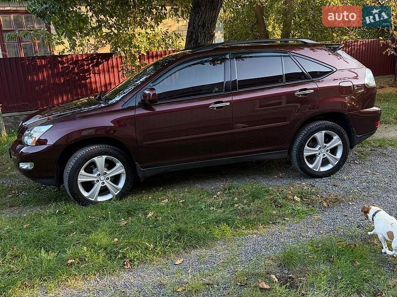 Внедорожник / Кроссовер Lexus RX 2008 в Бершади