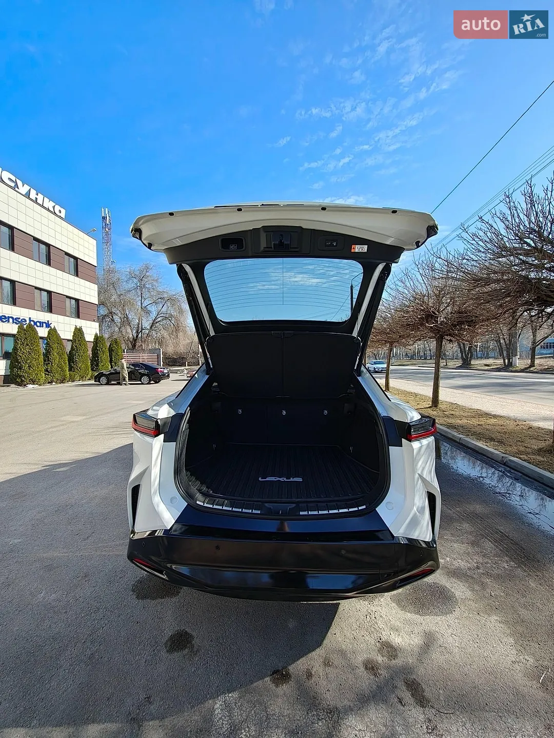2024 Lexus RZ - мініатюра 42