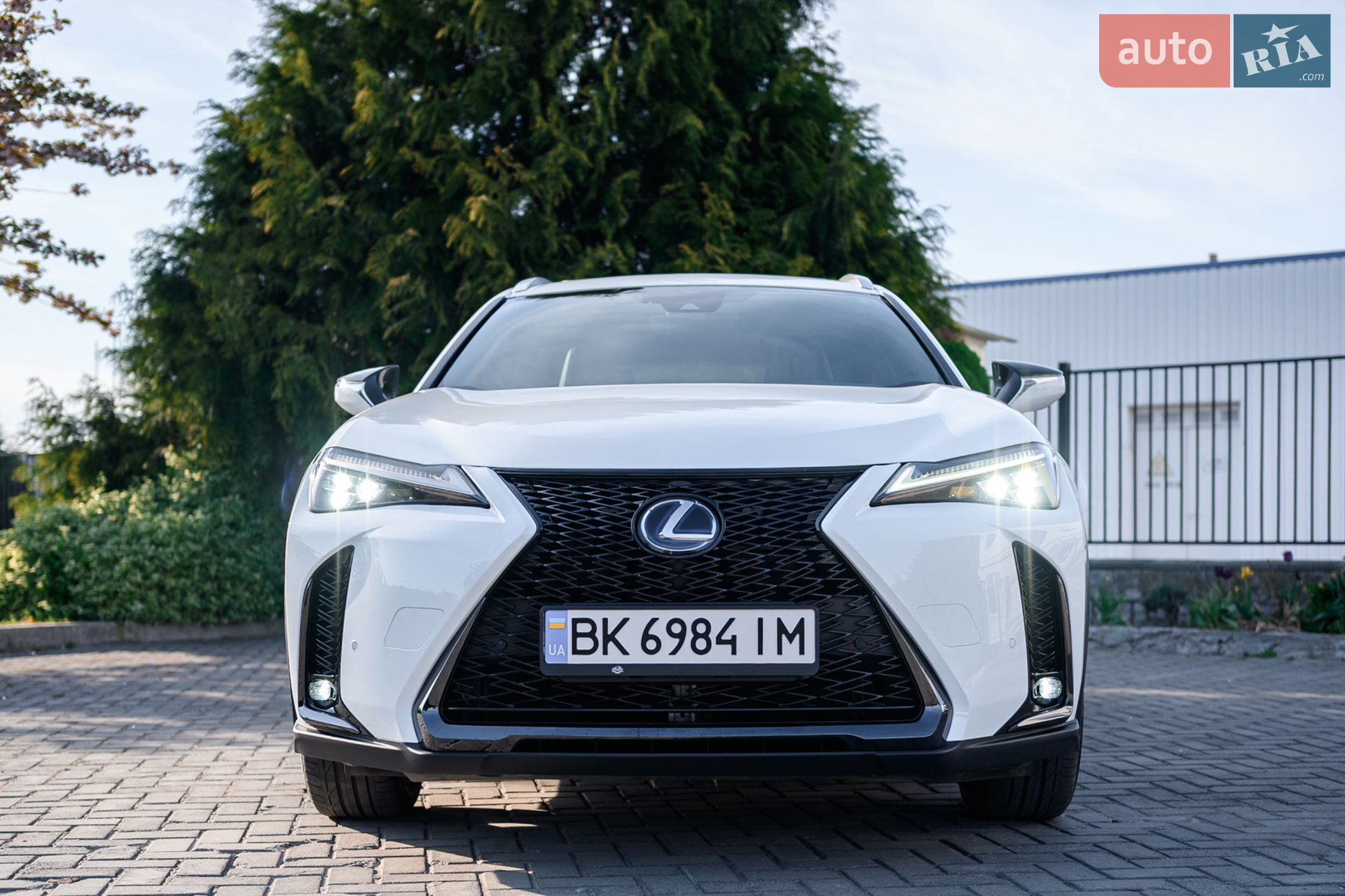 2019 Lexus UX - мініатюра 3