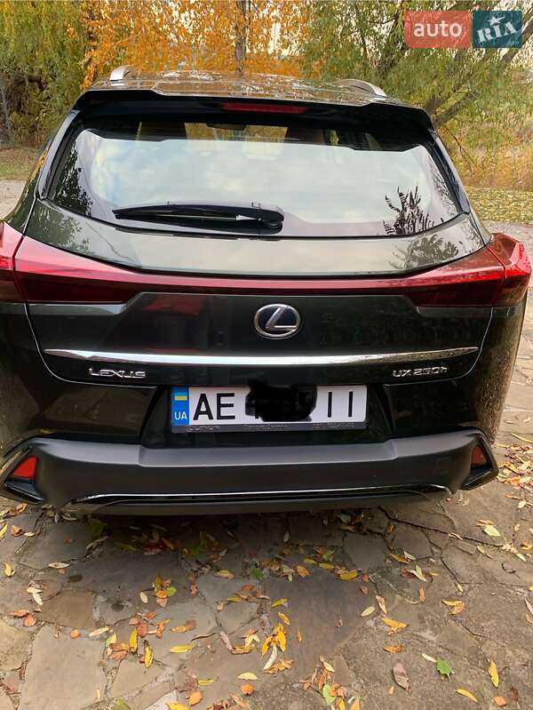 Внедорожник / Кроссовер Lexus UX 2023 в Днепре фото 4 Внедорожник / Кроссовер Lexus UX 2023 в Днепре