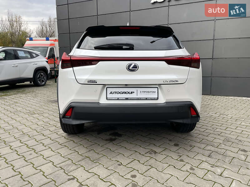 Внедорожник / Кроссовер Lexus UX 2020 в Одессе