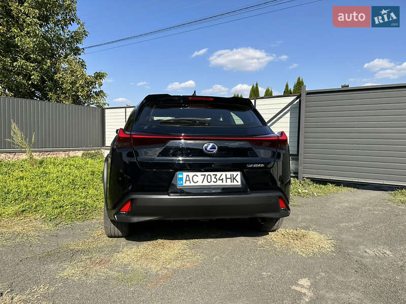 Позашляховик / Кросовер Lexus UX 2020 в Нововолинську