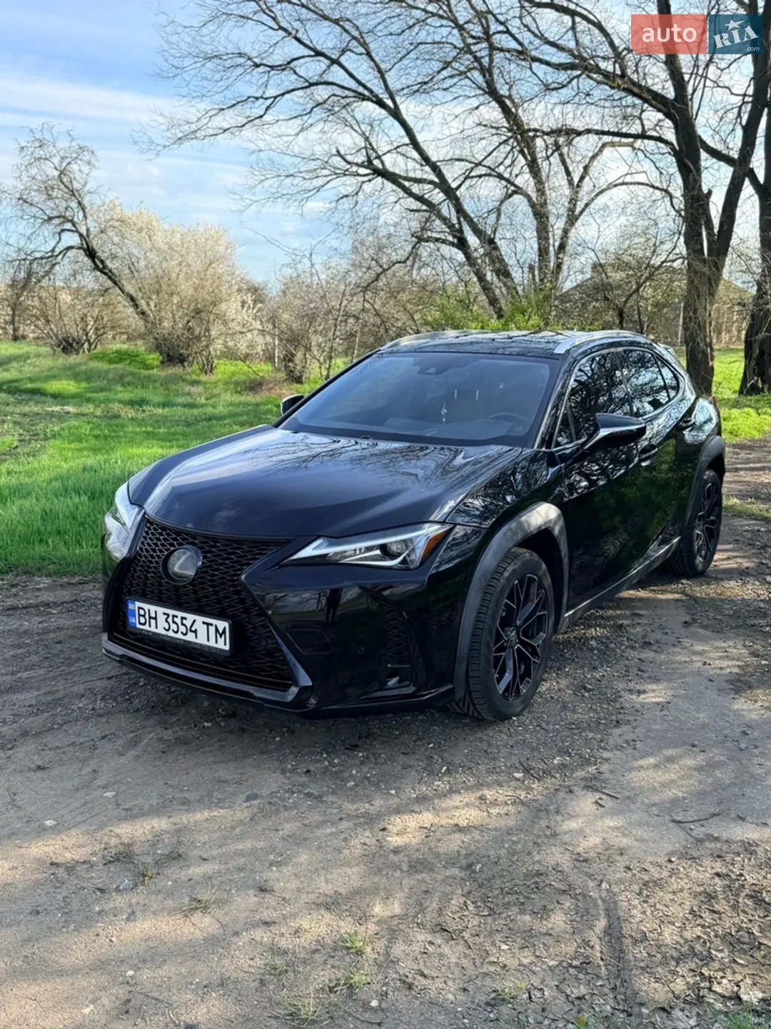 2018 Lexus UX - мініатюра 4