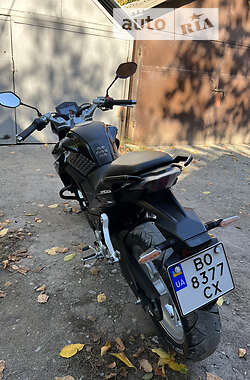 Мотоцикл Классик Lifan KP 250 2020 в 