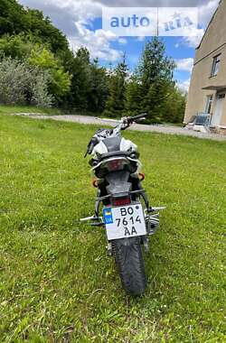 Мотоцикл Без обтекателей (Naked bike) Lifan KP 250 2020 в Городке