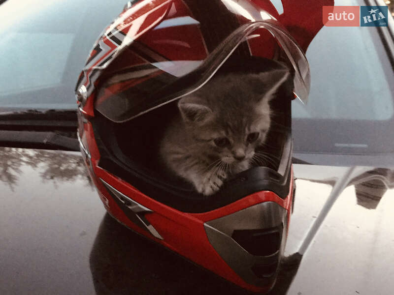 Мотоцикл Кросс Loncin LX 250GY-3 2019 в Терновому