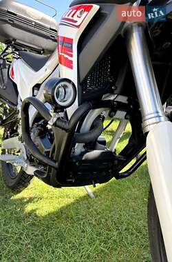 Мотоцикл Многоцелевой (All-round) Loncin LX 250GY-3G 2020 в 