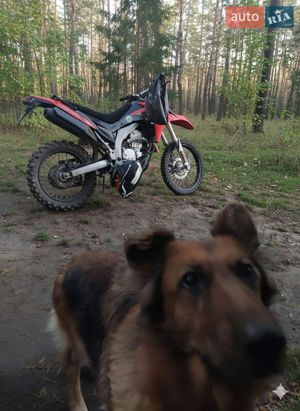 Мотоцикл Кросс Loncin LX 300GY 2019 в Житомире