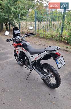 Мотоцикл Многоцелевой (All-round) Loncin  LX300GY-A DS2 Pro 2022 в 