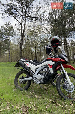 Мотоцикл Позашляховий (Enduro) Loncin  LX300GY-A DS2 Pro 2019 в 