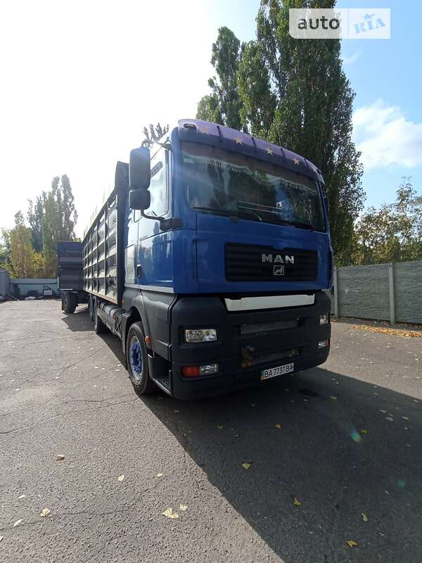 Зерновоз MAN TGA 2004 в Кропивницком