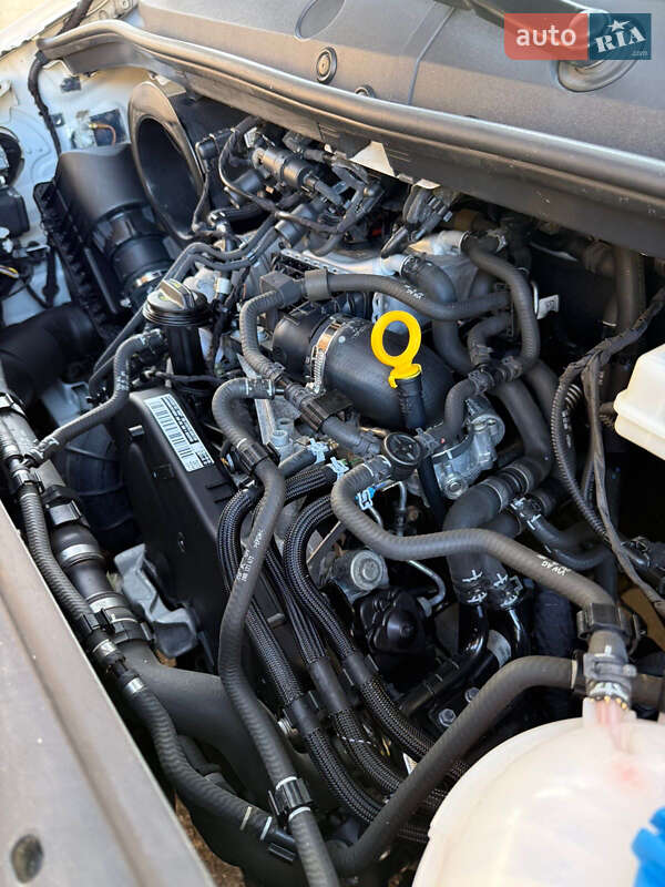 Вантажний фургон MAN TGE 2020 в Ковелі