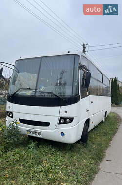Туристичний / Міжміський автобус МАЗ 256 2007 в Рівному