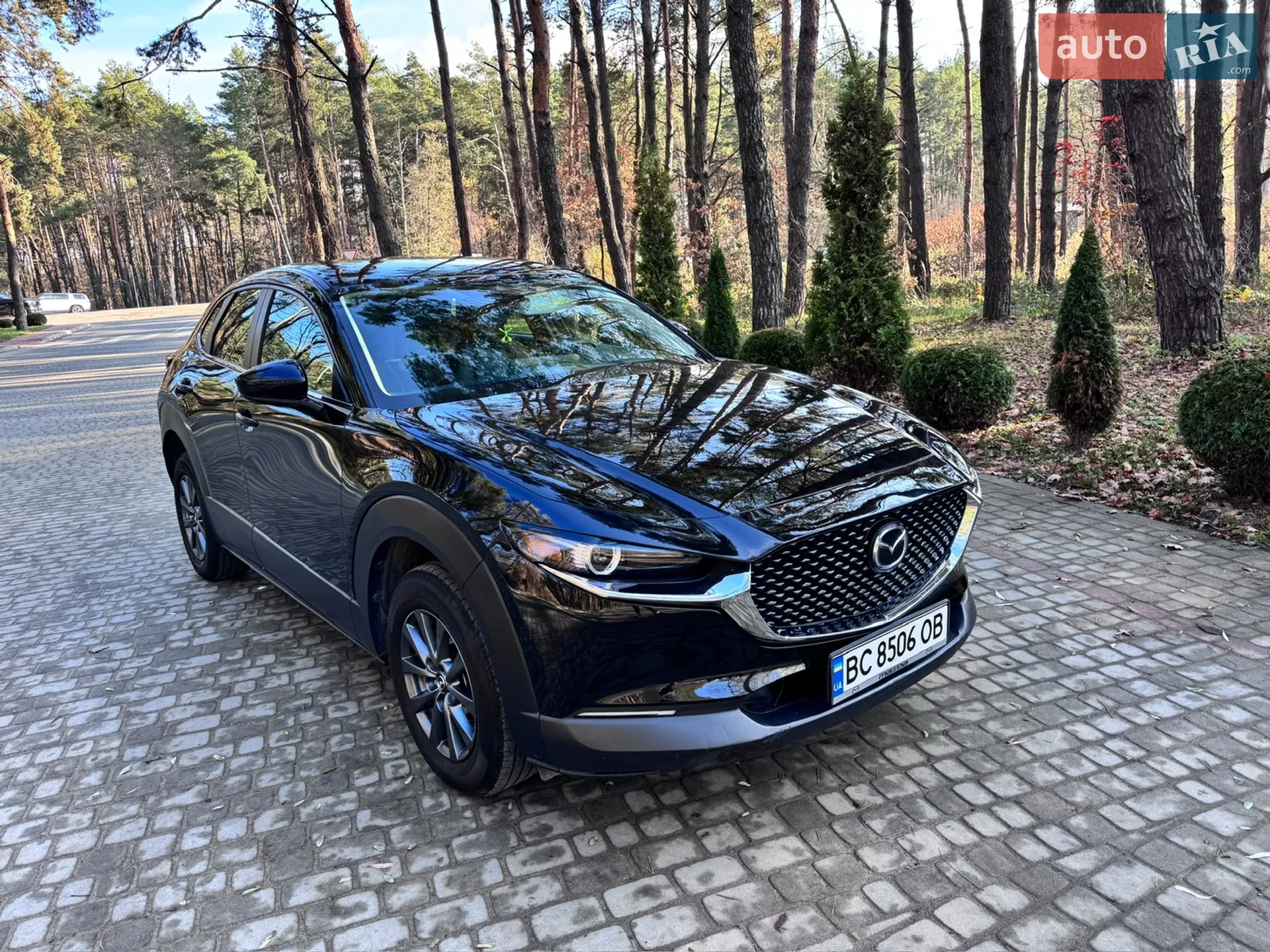 2019 Mazda CX-30 - мініатюра 6