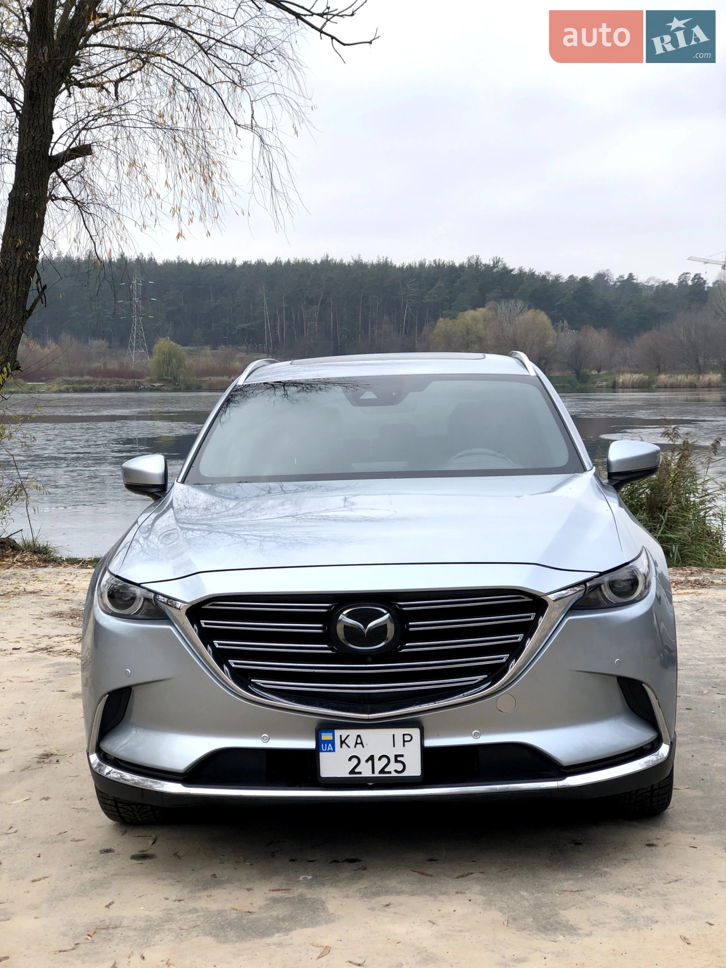 2018 Mazda CX-9 - мініатюра 10