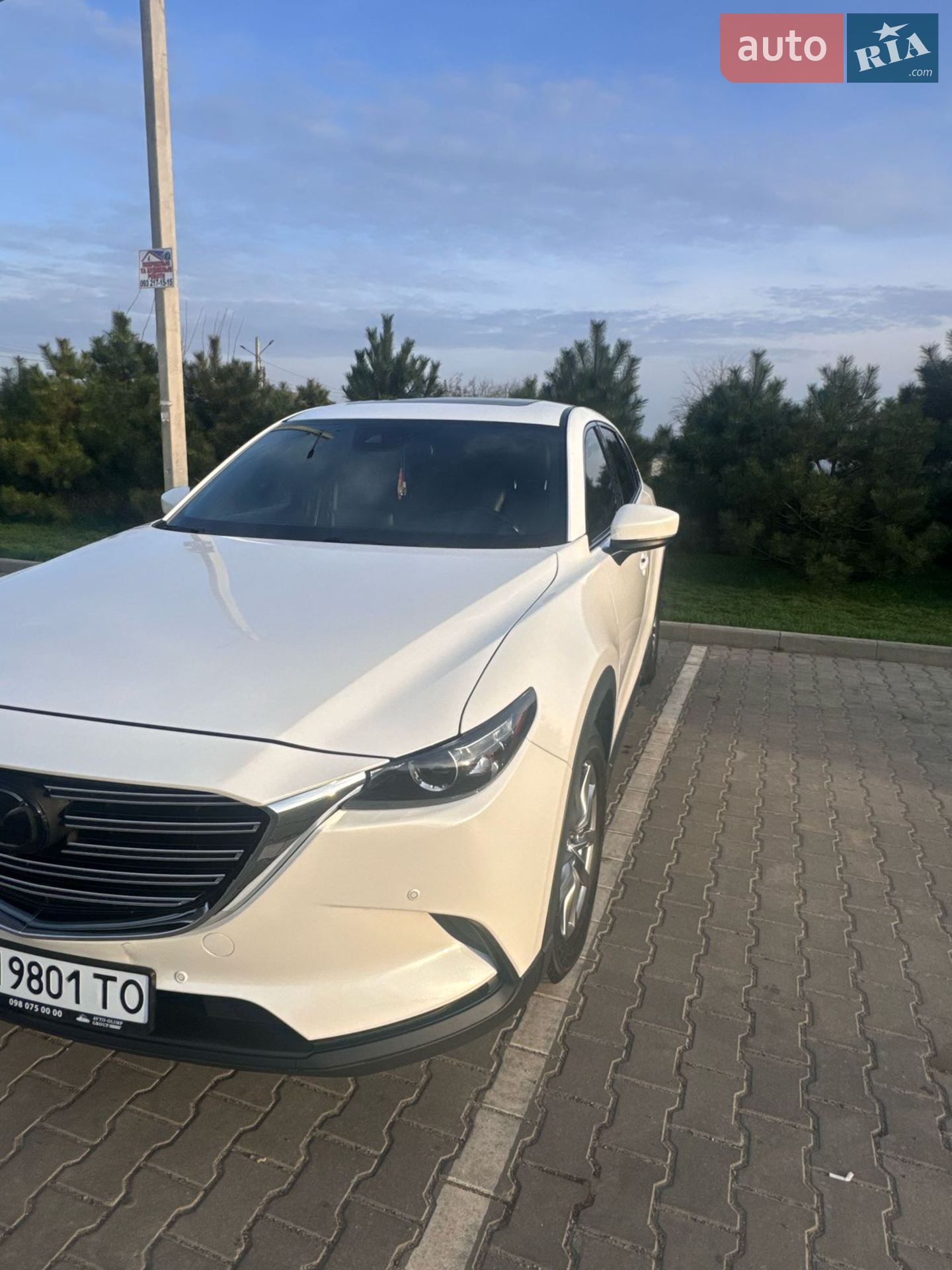 2018 Mazda CX-9 - мініатюра 13