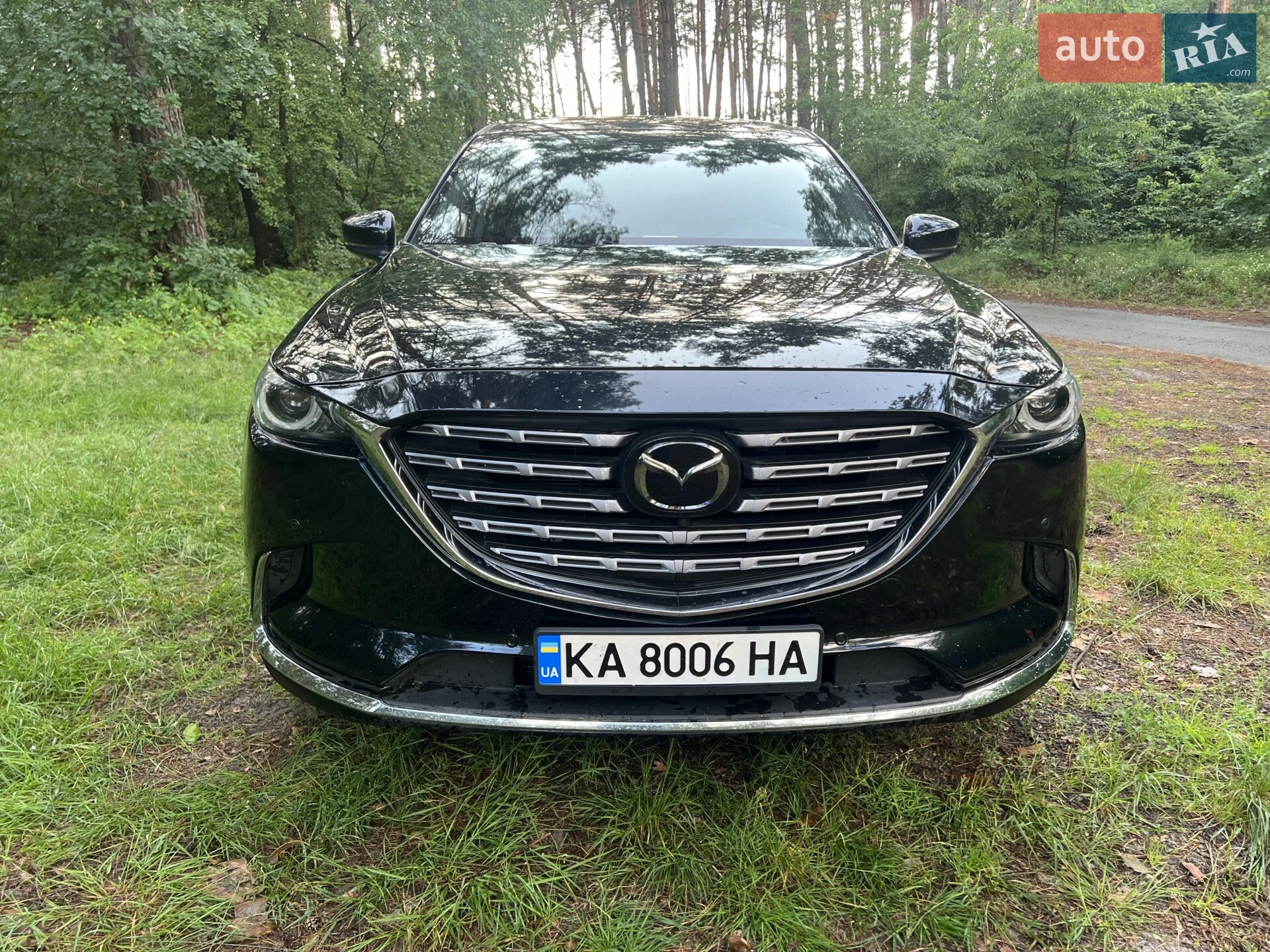 2021 Mazda CX-9 - мініатюра 9