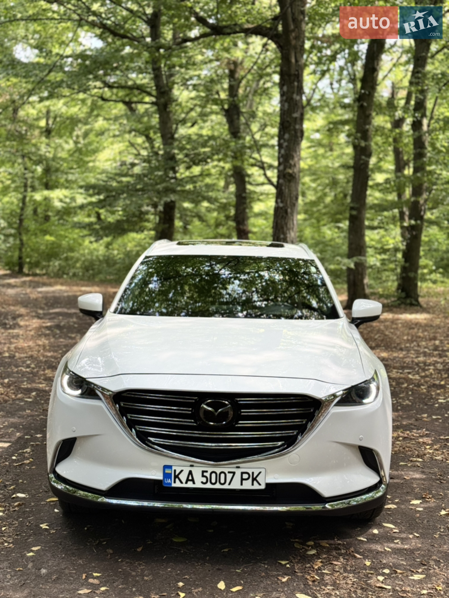 2017 Mazda CX-9 - мініатюра 32