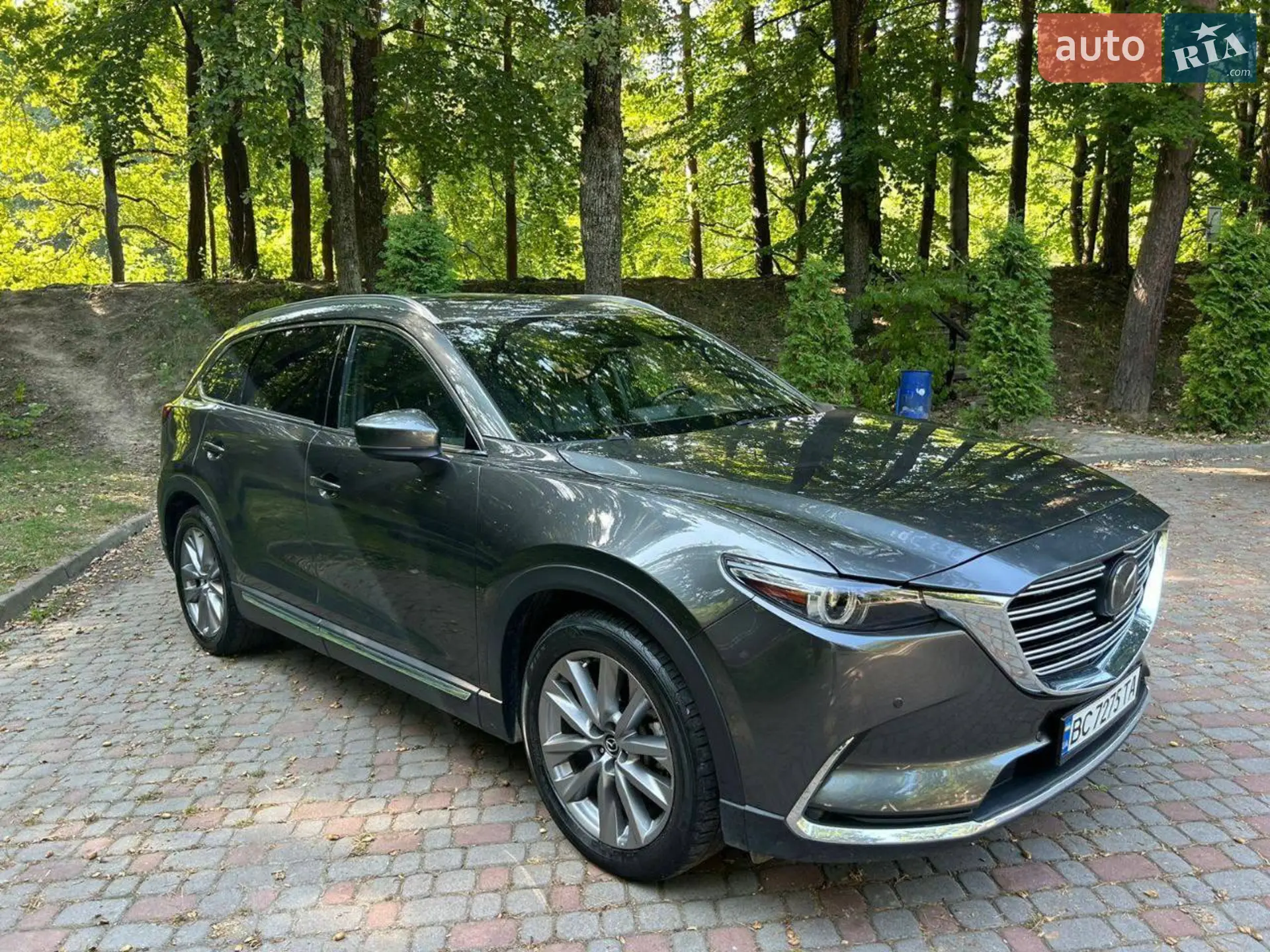 2021 Mazda CX-9 - мініатюра 2