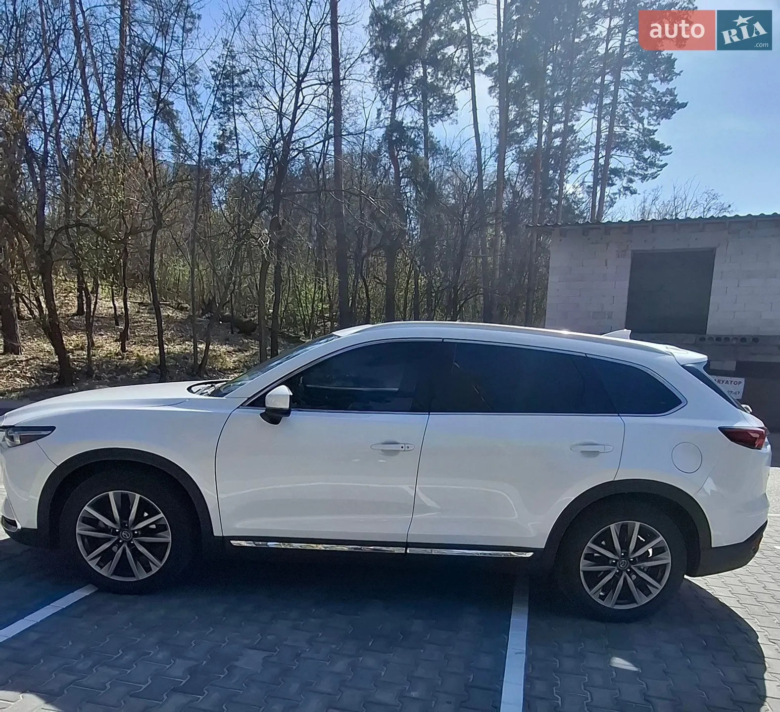 2016 Mazda CX-9 - мініатюра 7