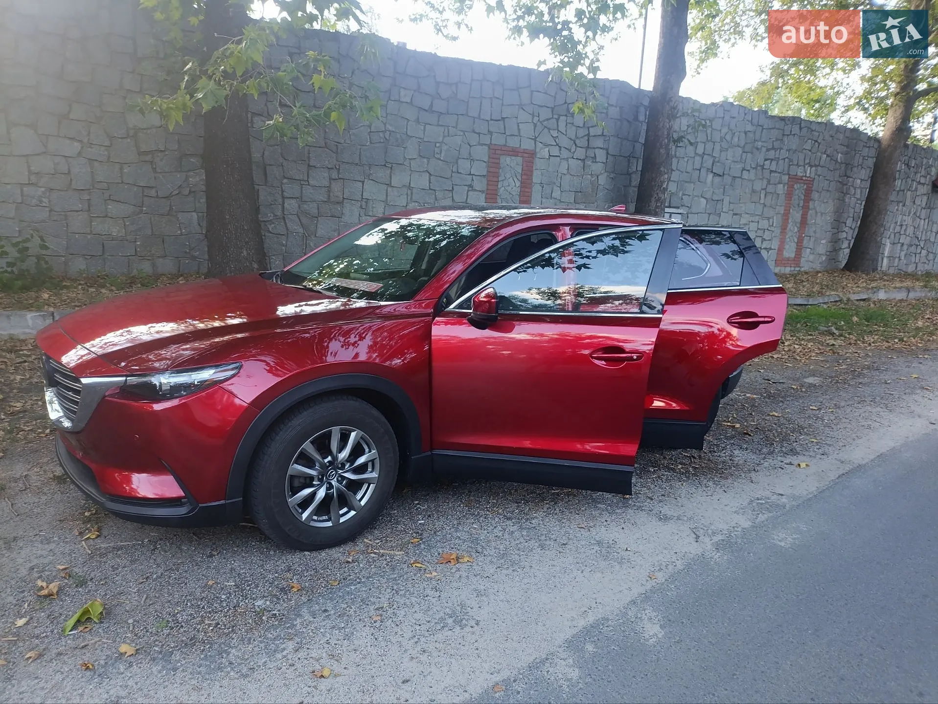 2019 Mazda CX-9 - мініатюра 11