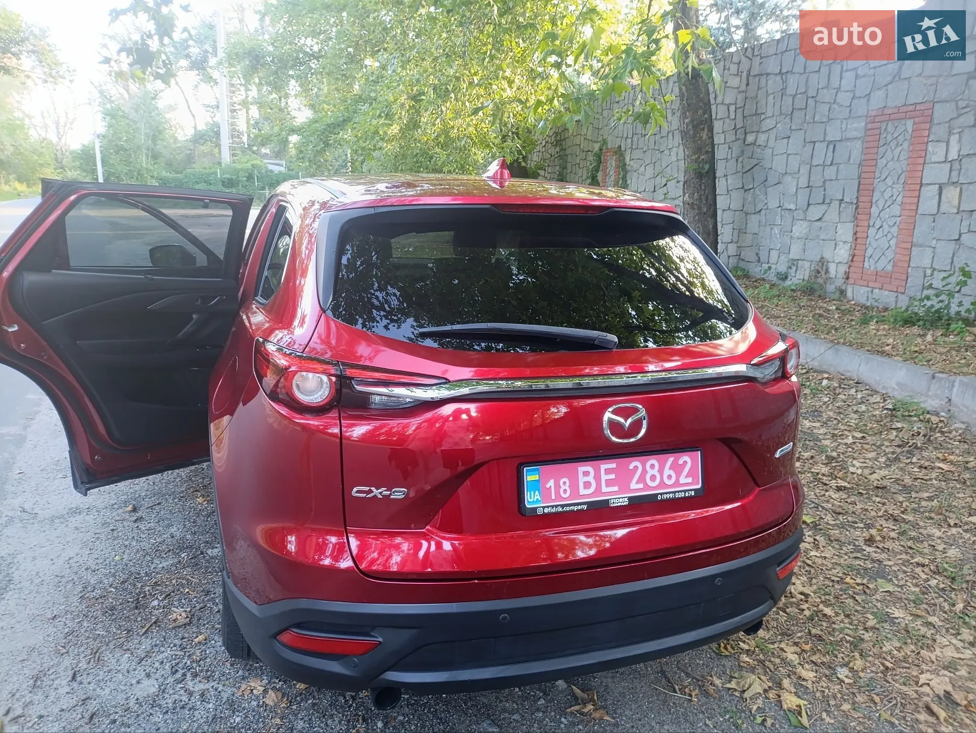 2019 Mazda CX-9 - мініатюра 17