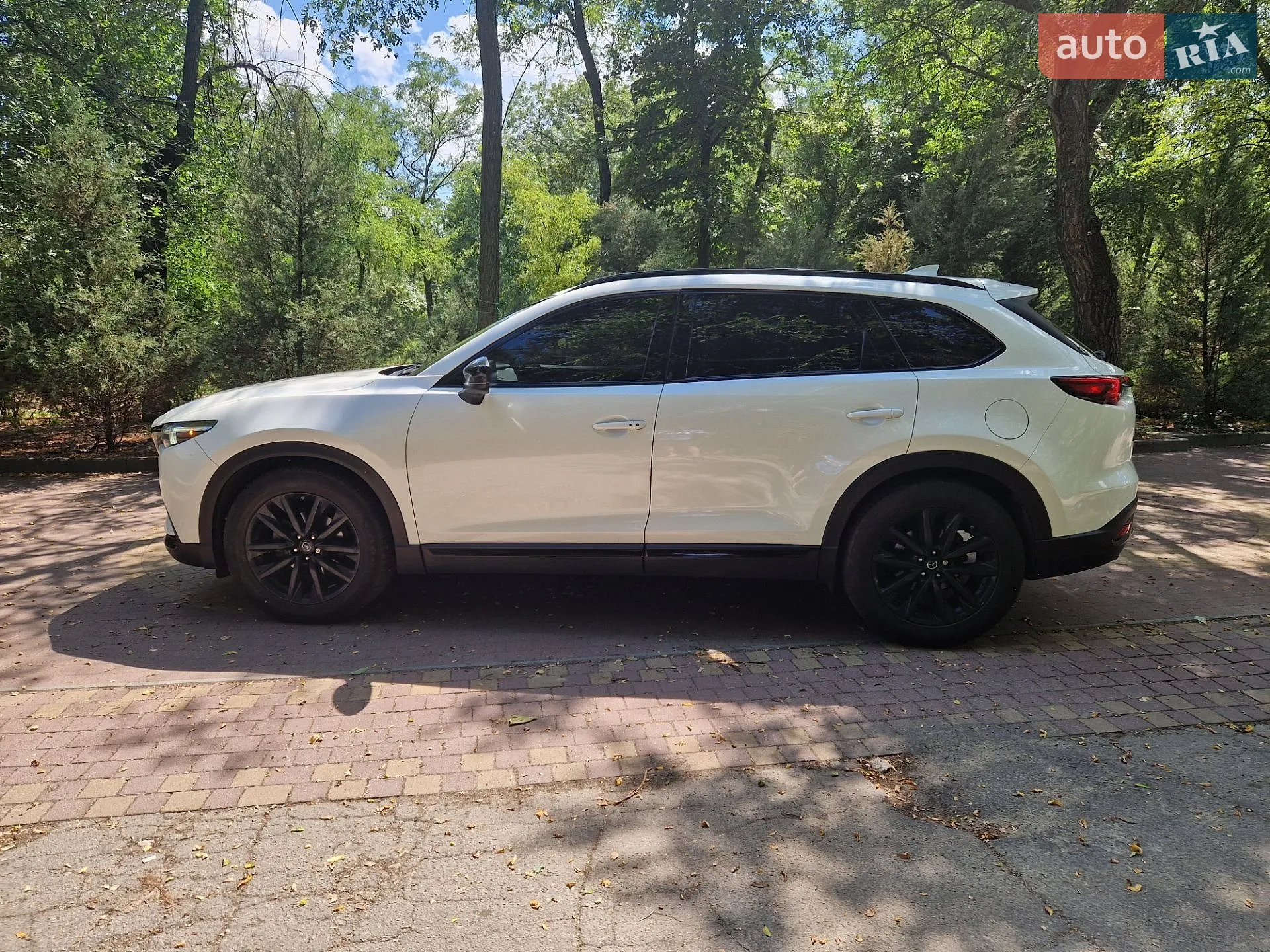 2018 Mazda CX-9 - мініатюра 8