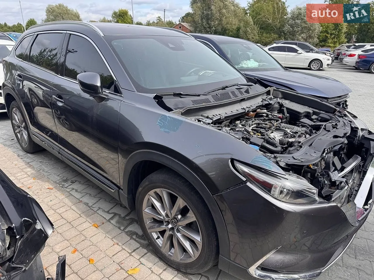 2021 Mazda CX-9 - мініатюра 8