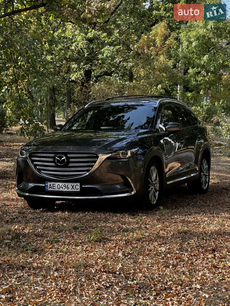 2017 Mazda CX-9 - мініатюра 30