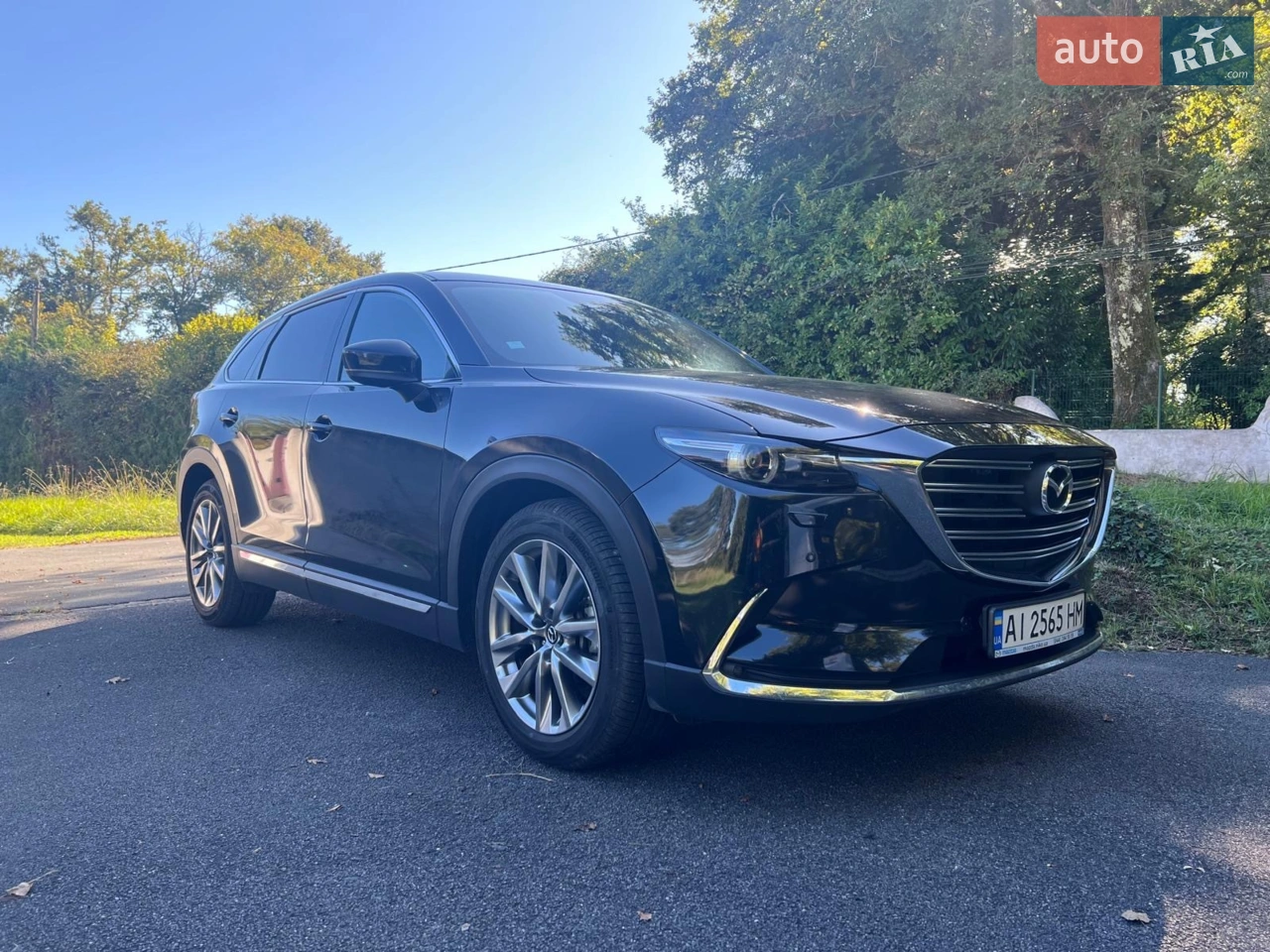 2018 Mazda CX-9 - мініатюра 21