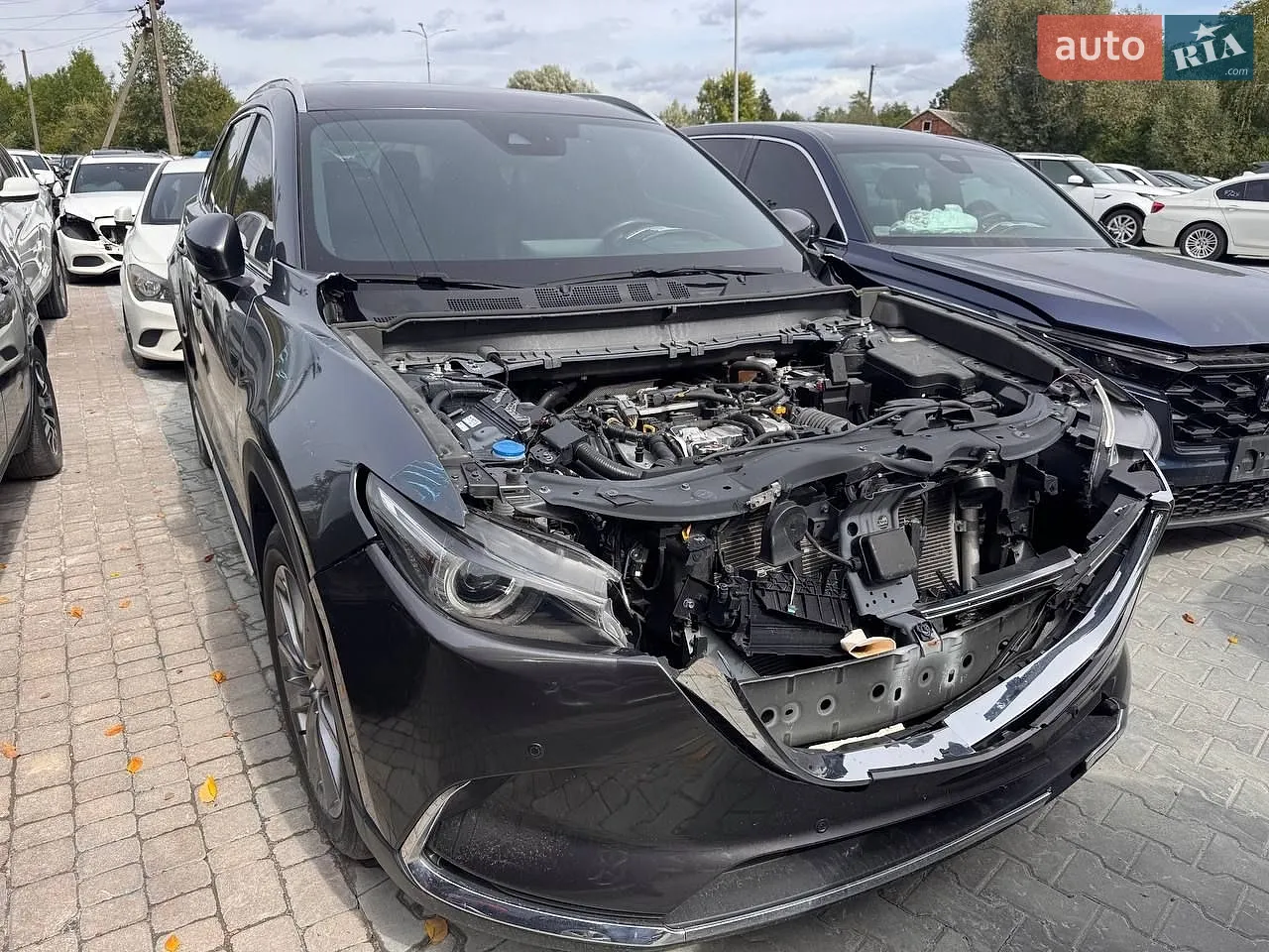 2021 Mazda CX-9 - мініатюра 34