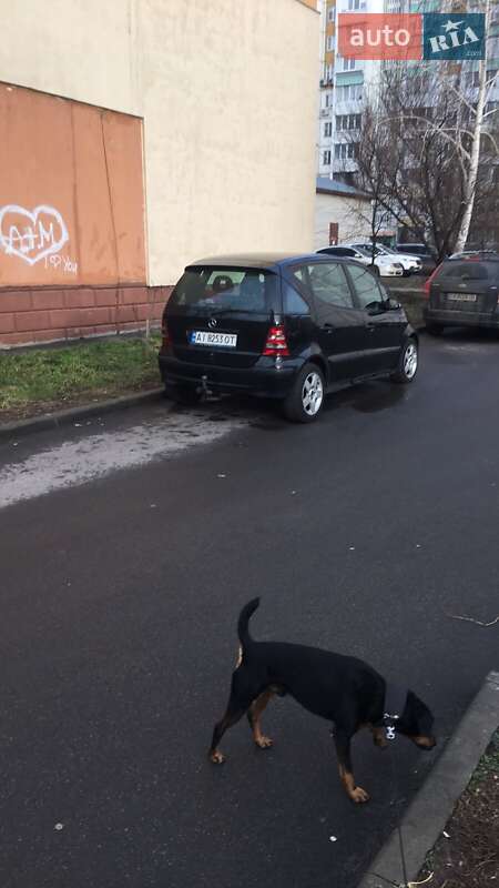 Хэтчбек Mercedes-Benz A-Class 2003 в Киеве