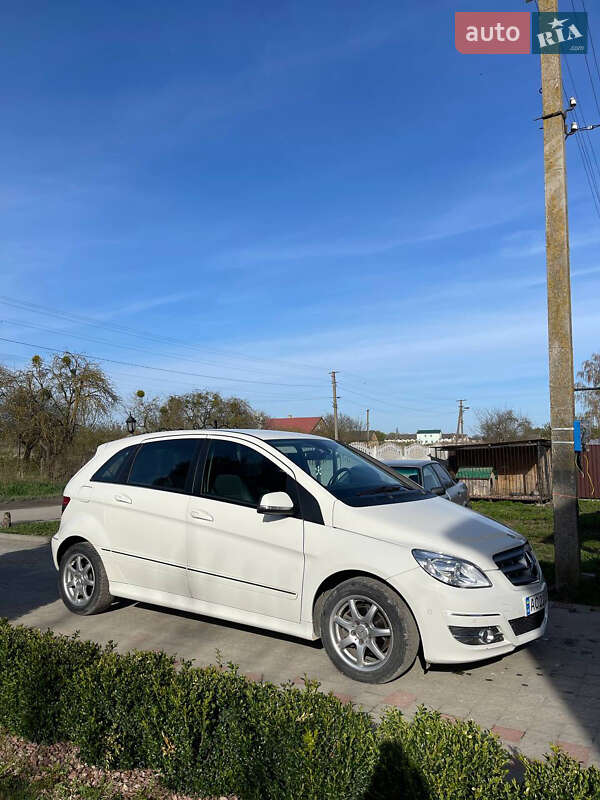 Хэтчбек Mercedes-Benz B-Class 2009 в Луцке