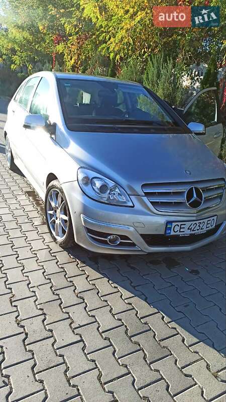 Mercedes-Benz B-Class 2010