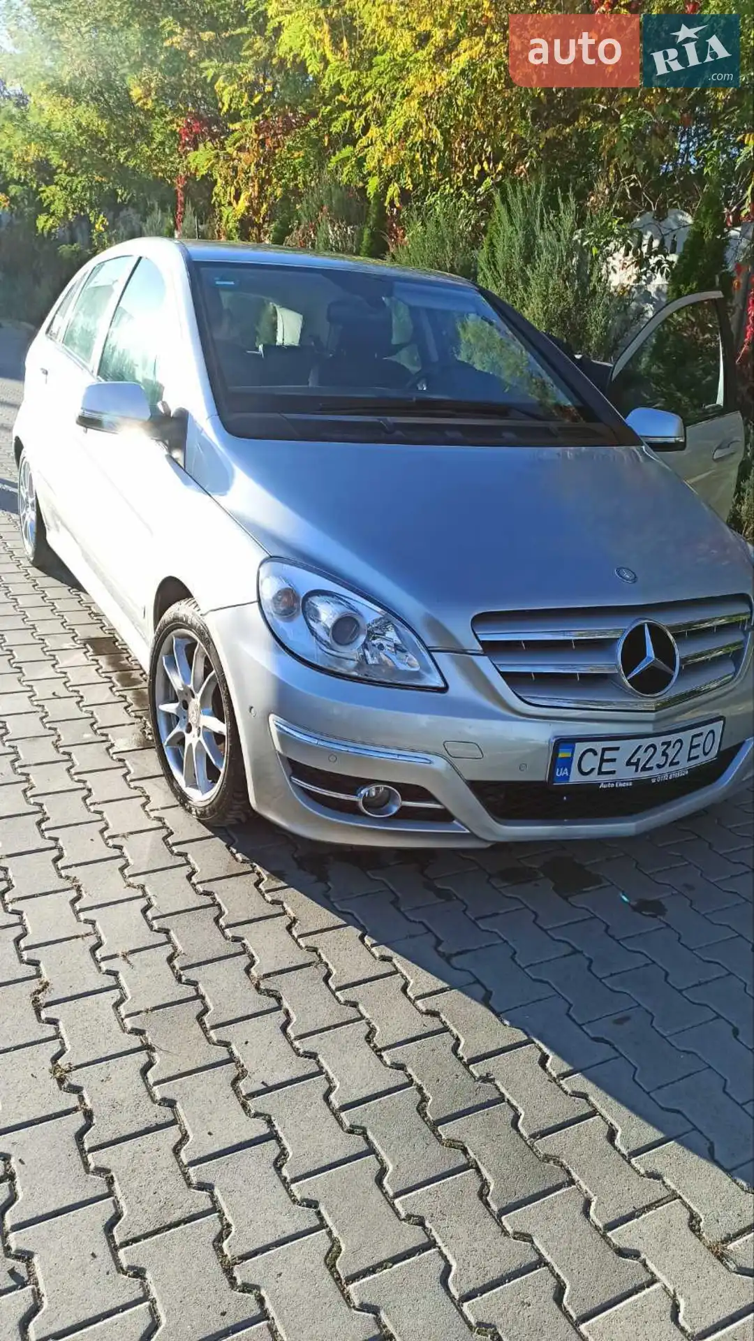 2010 Mercedes-Benz B-klasse - фото 1