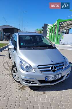 Mercedes-Benz B-Class 2010 Mercedes-Benz B-Class 2010