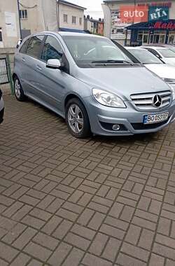Mercedes-Benz B-Class 2010 Mercedes-Benz B-Class 2010