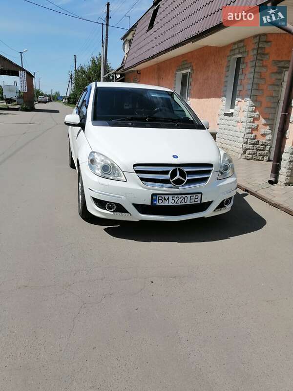 Хетчбек Mercedes-Benz B-Class 2009 в Сумах